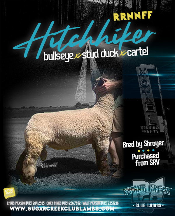 Hitch Hiker Hitch Hiker